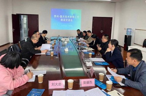 區(qū)域協(xié)同推進(jìn)中匈技術(shù)交流與合作 技術(shù)轉(zhuǎn)讓的機(jī)遇與挑戰(zhàn)